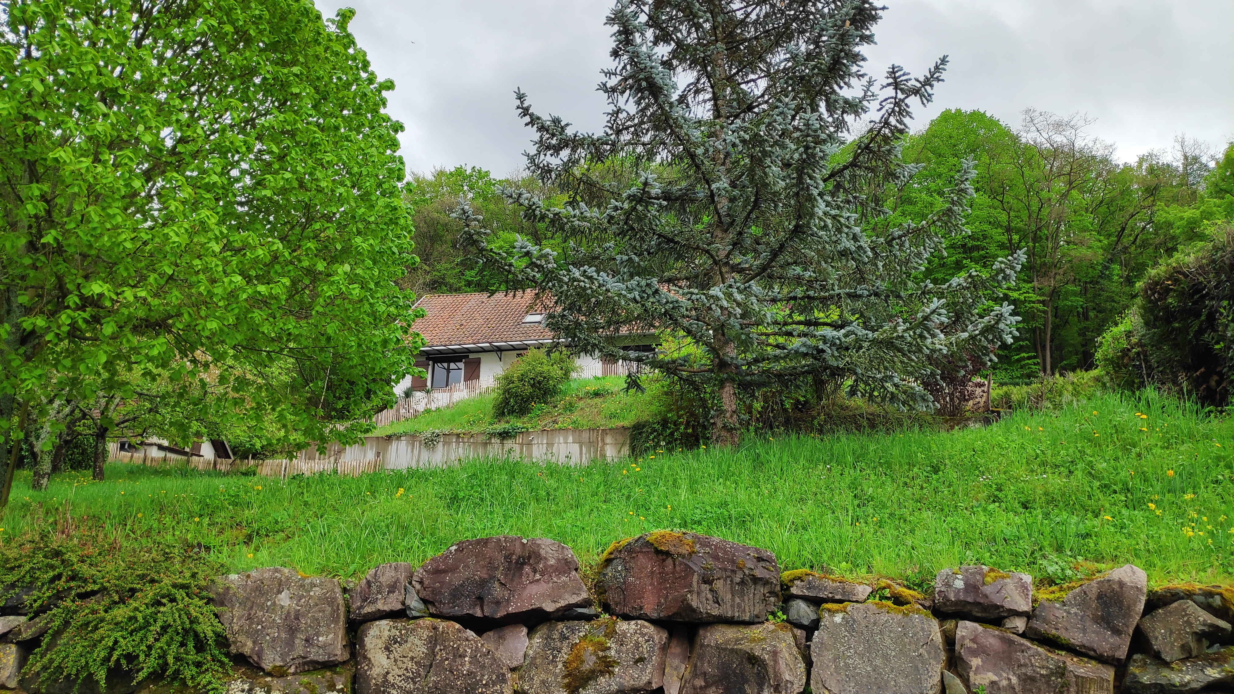 Villa Alsace – Grundstück